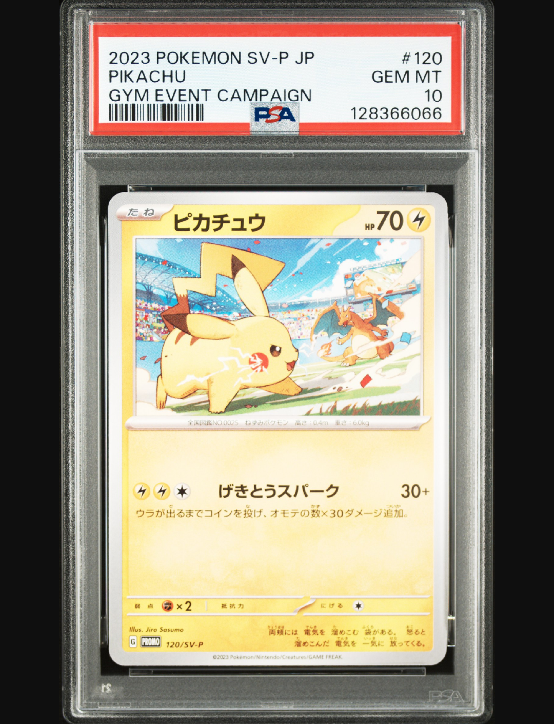 ピカチュウ: プロモ [SV-P 120](プロモーションカード「SV-P」)