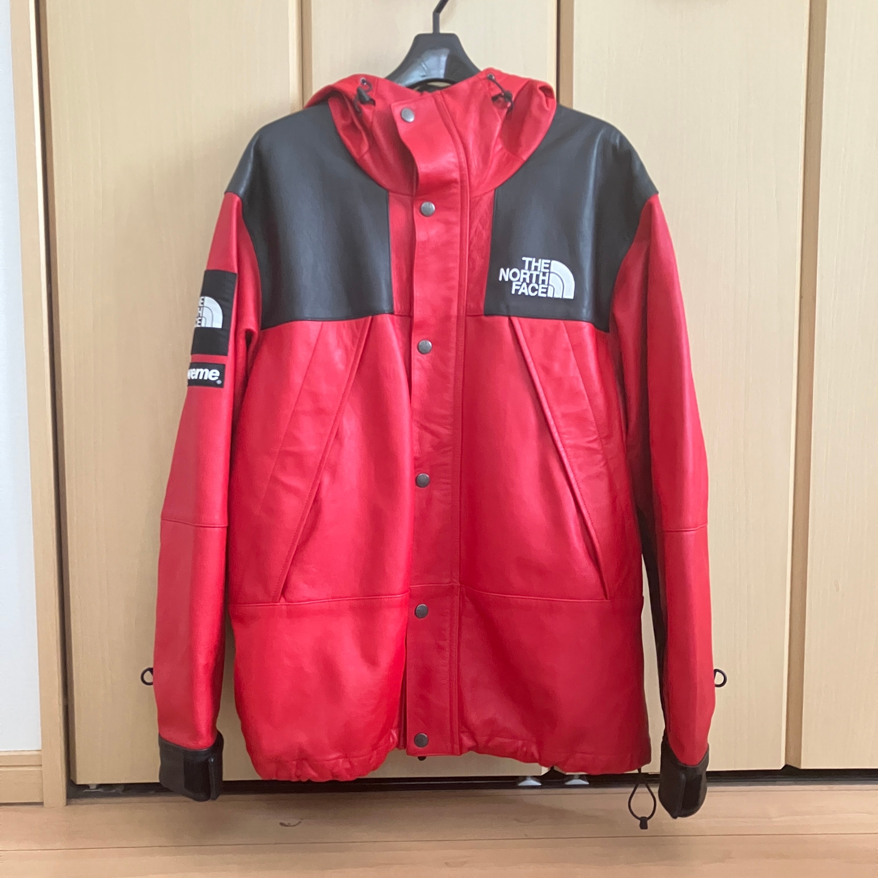 Supreme x The North Face Leather Mountain Parka "Red"