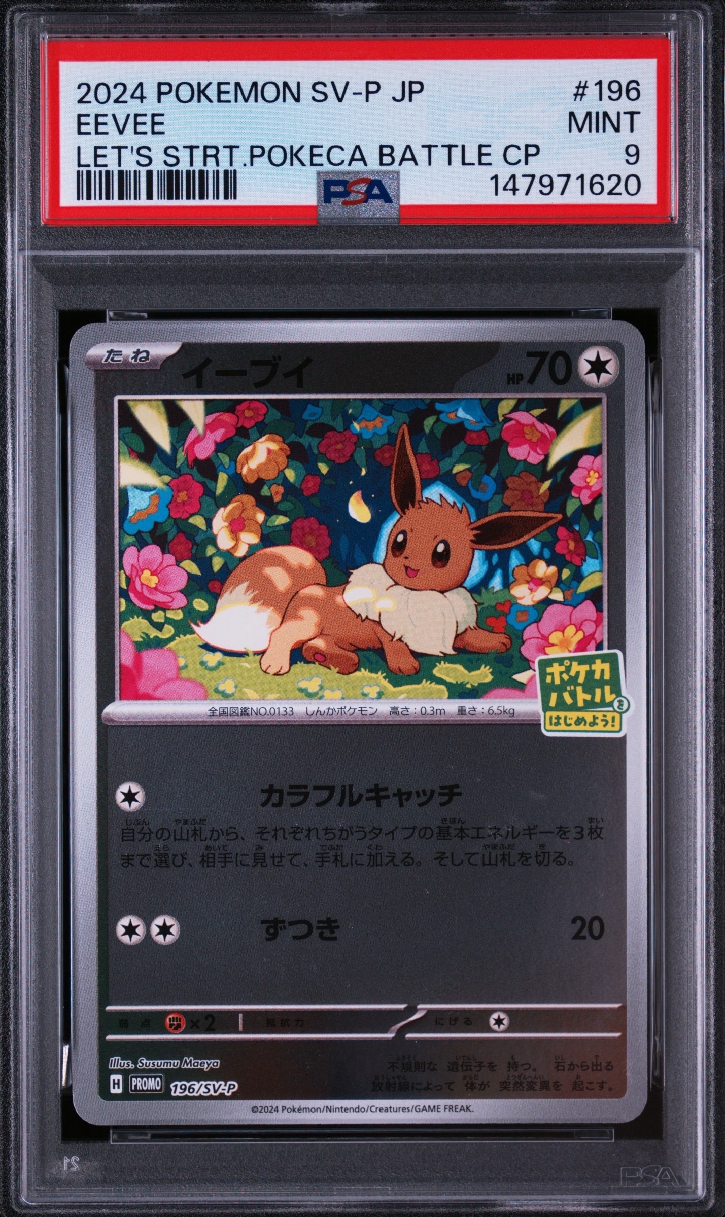 PSA10】イーブイ P [SV-P-SM 196](プロモカードパック「ポケカバトルを