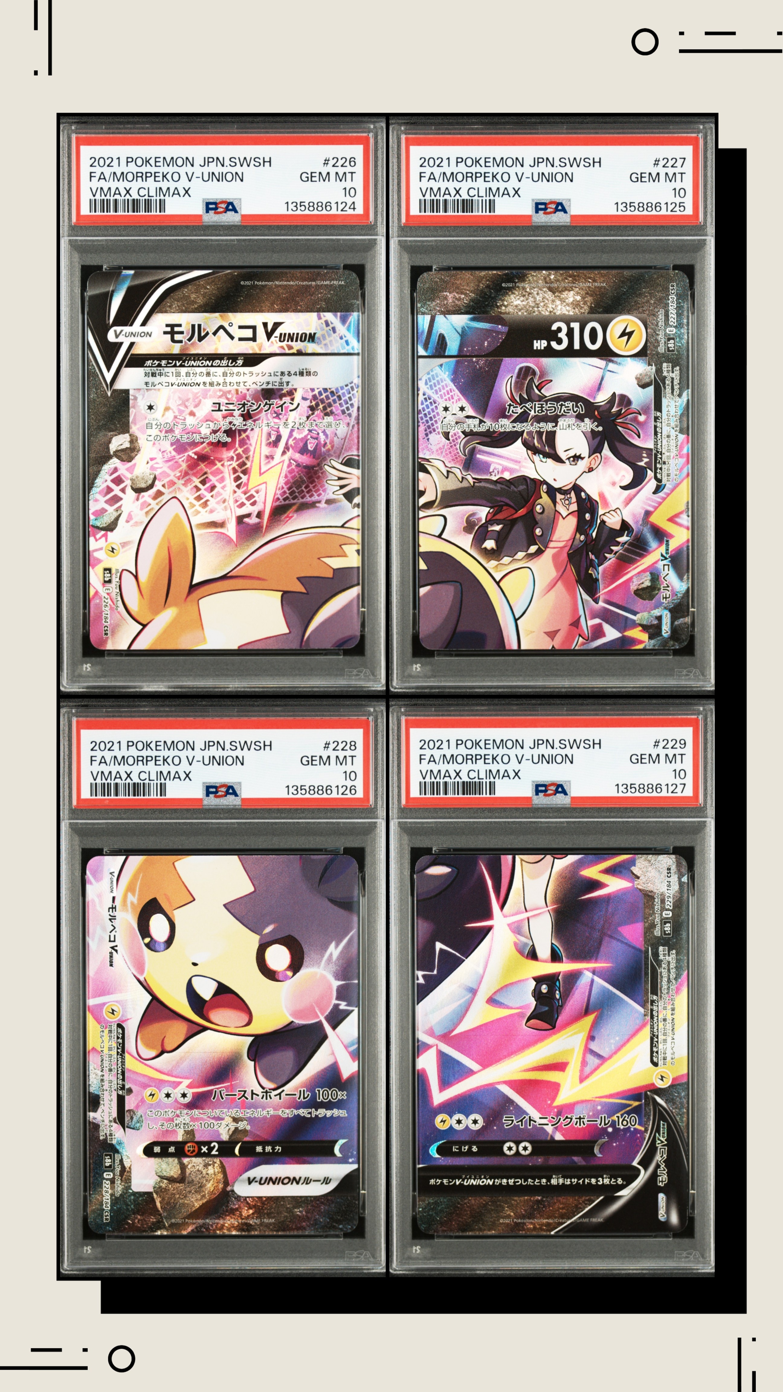 モルペコV-UNION CSR[S8b 226-229/184](ハイクラスパック「VMAXクライマックス」)