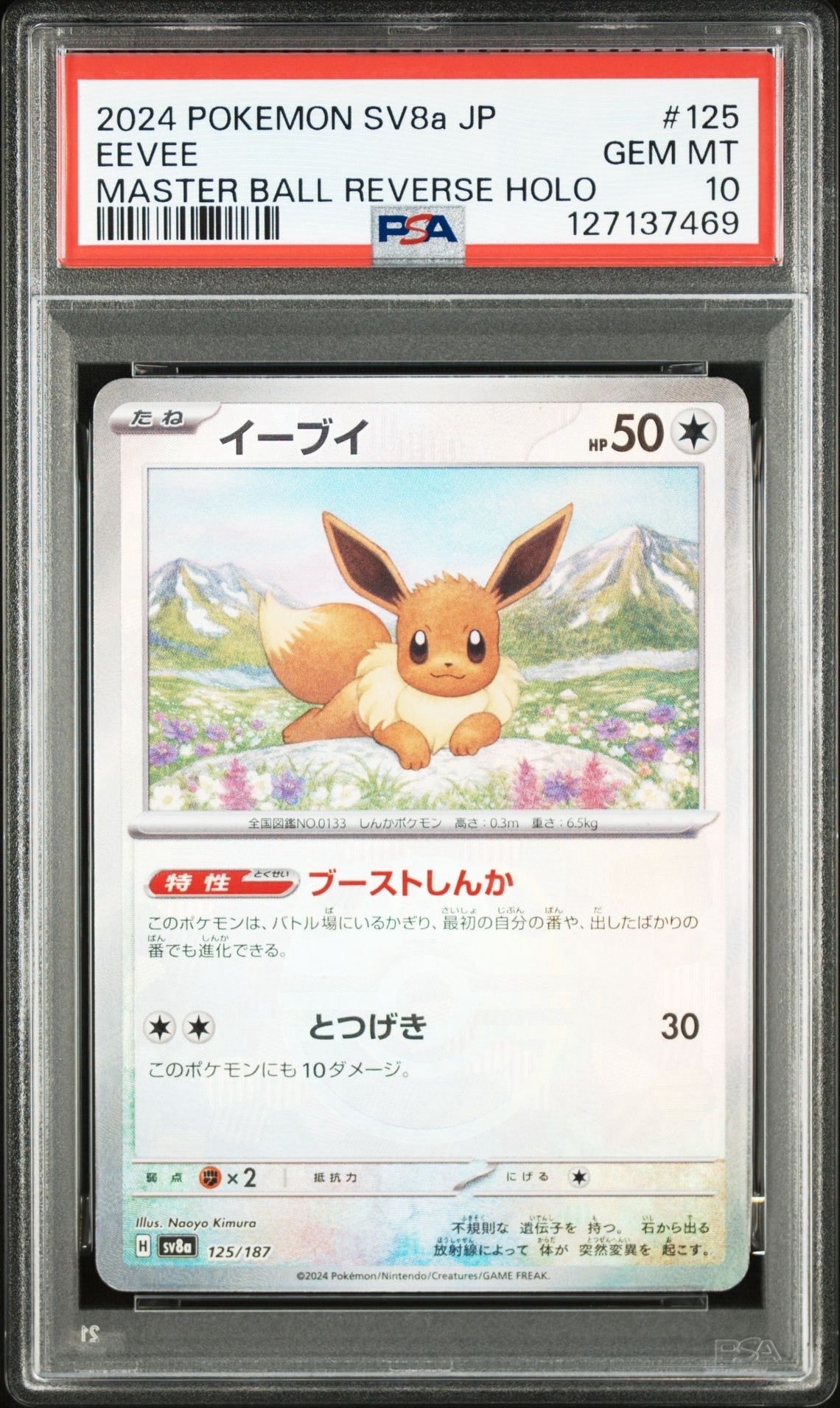 イーブイ :マスターボールミラー [SV8a 125/187](ハイクラスパック「テラスタルフェスex」)