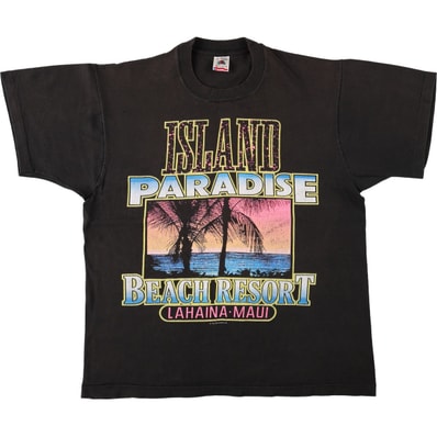 古着 90年代 フルーツオブザルーム FRUIT OF THE LOOM プリントTシャツ USA製 メンズL相当 ヴィンテージ/eaa663959