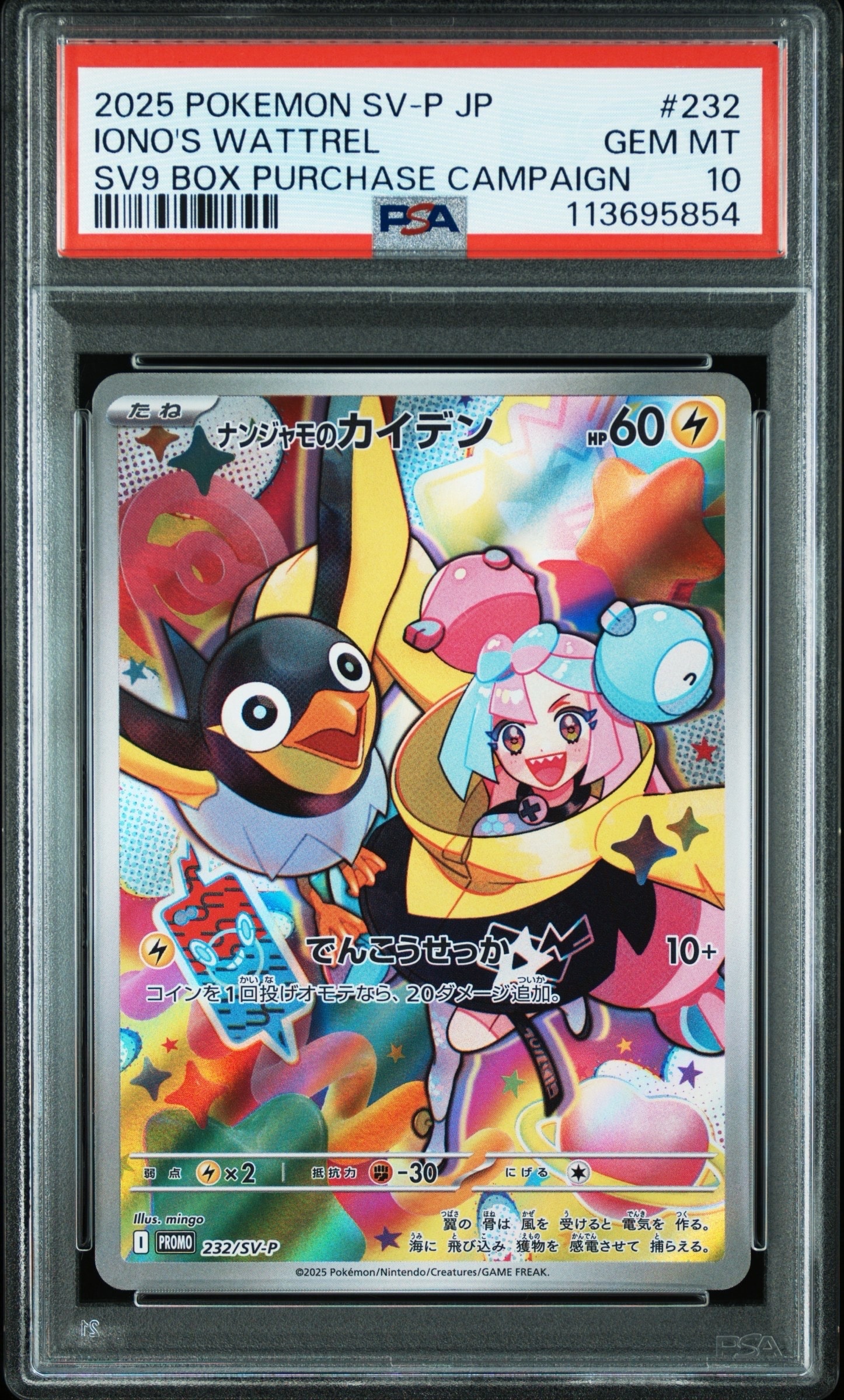 ナンジャモのカイデン P [SV-P 232](プロモーションカード「拡張パック バトルパートナーズ Box購入キャンペーン」)