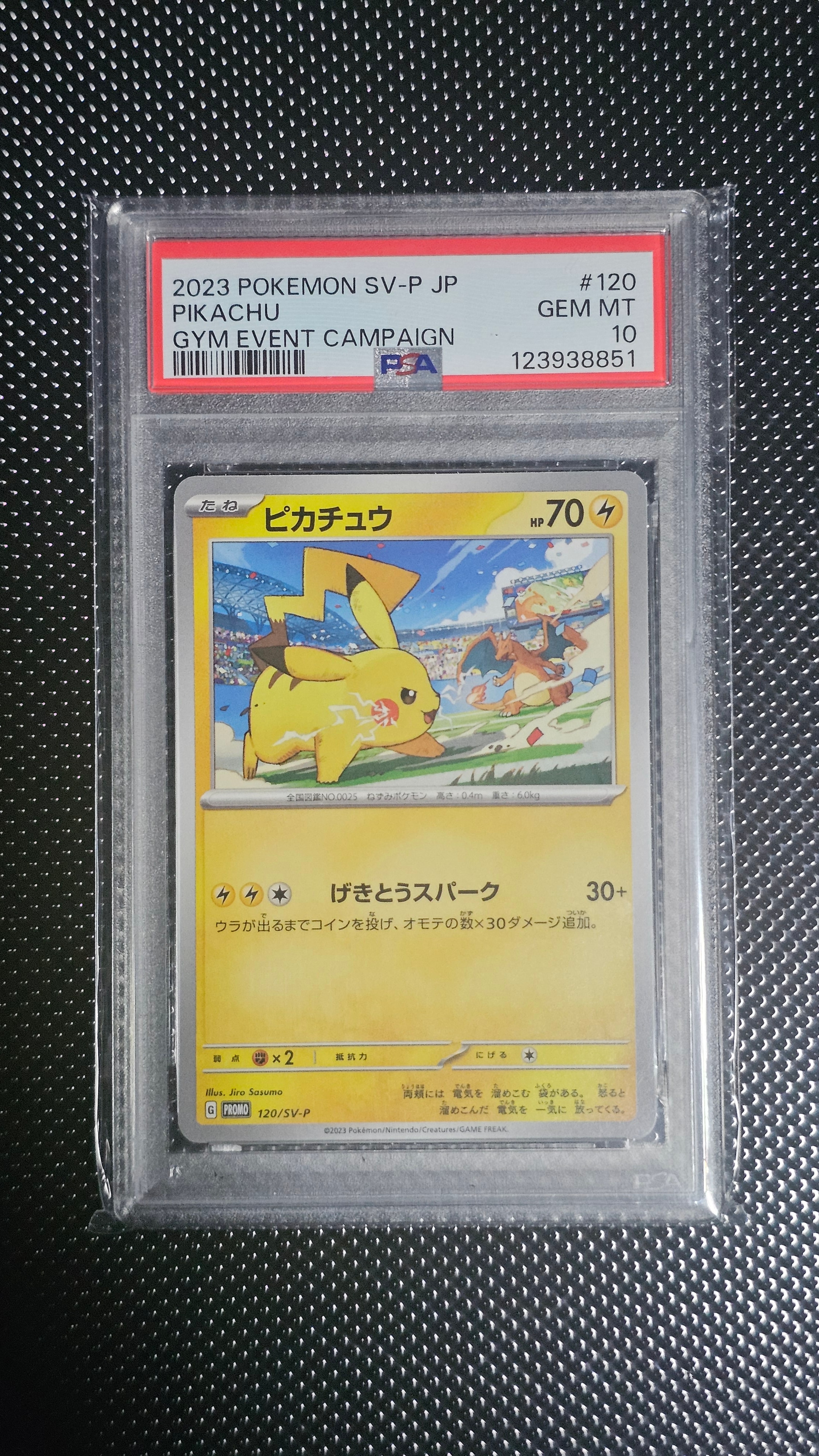 ピカチュウ: プロモ [SV-P 120](プロモーションカード「SV-P」)