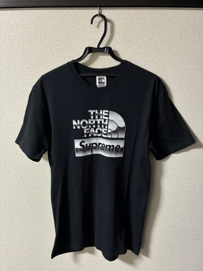 Supreme x The North Face Metallic Logo T-Shirt "Black"
