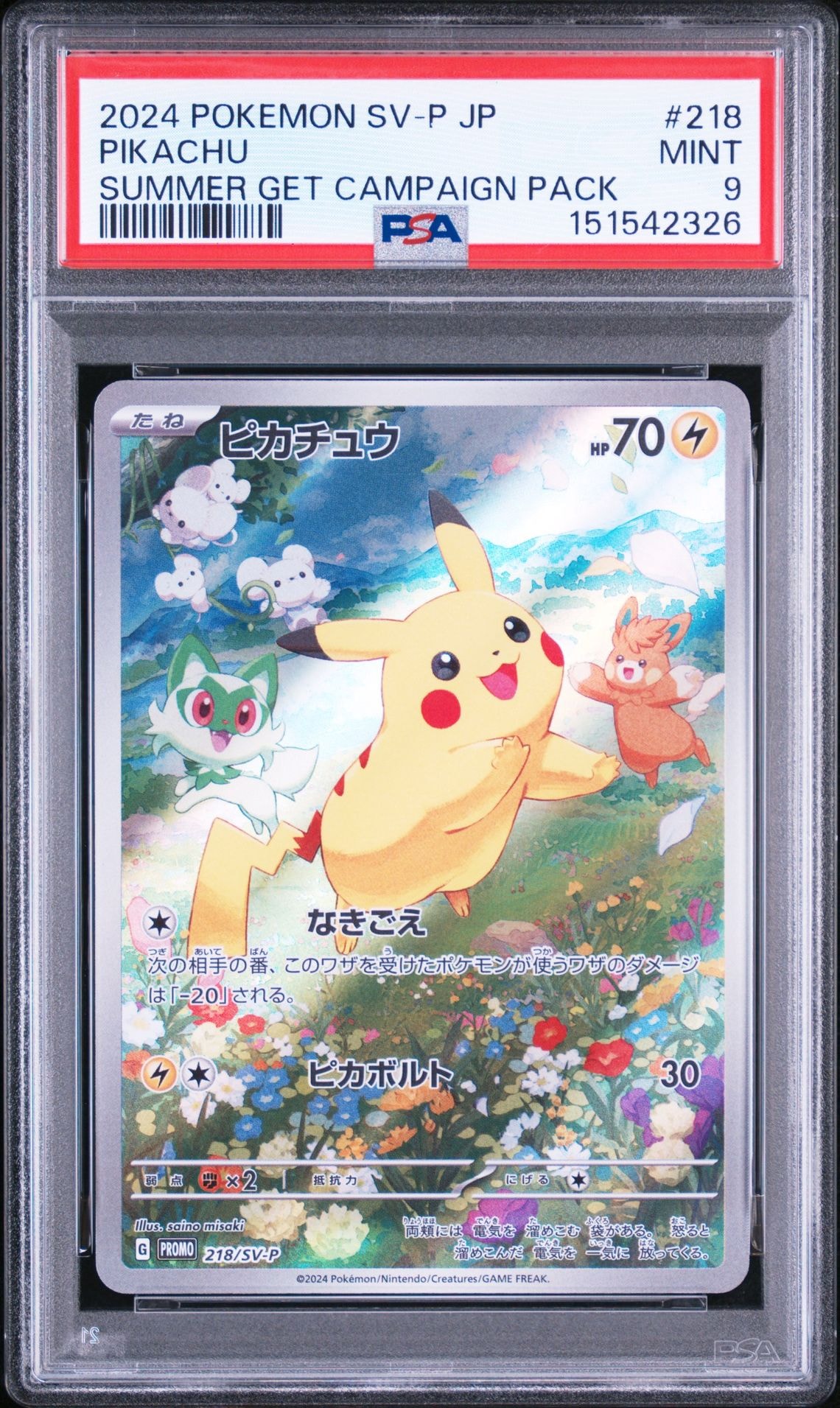 ピカチュウ プロモカード PROMO 218/SV-P ポケカの夏がキタ！ ピカチュウ P [SV-P 218](プロモカードパック「ポケカの夏がキタ