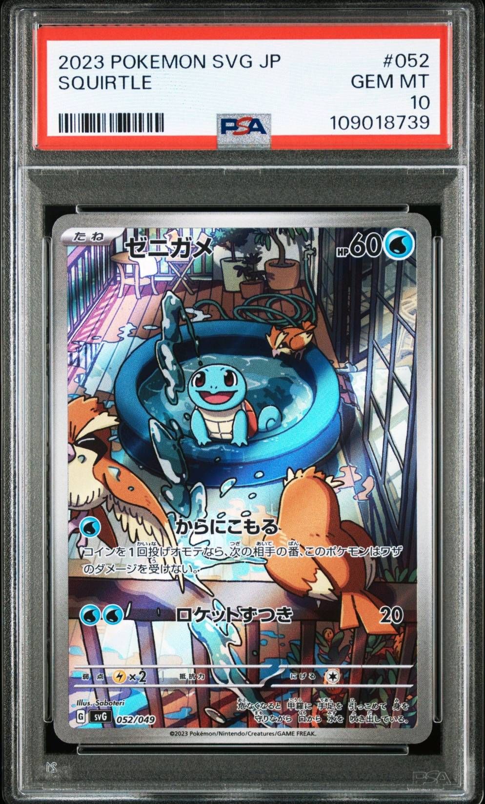 ゼニガメ :フルイラスト [SVG 052/049](スペシャルデッキセットex「フシギバナ・リザードン・カメックス」)