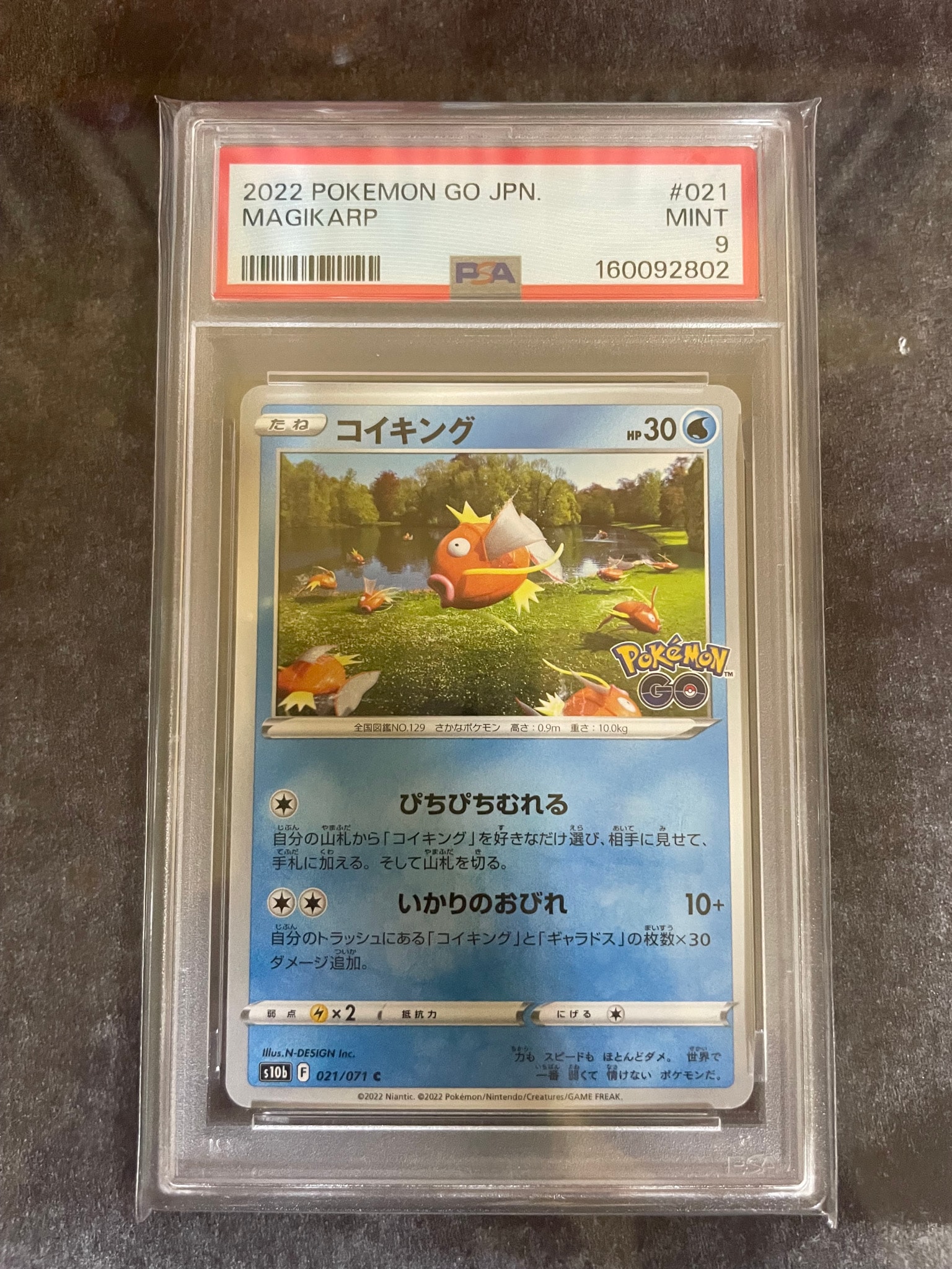 PSA10】コイキング C[s10b 021/071](強化拡張パック「Pokemon GO」) 2