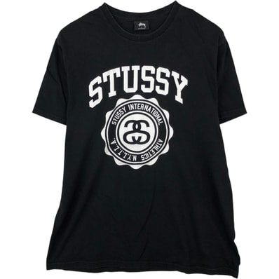 古着 ステューシー STUSSY サーフ スケートTシャツ メンズL相当/eaa621443