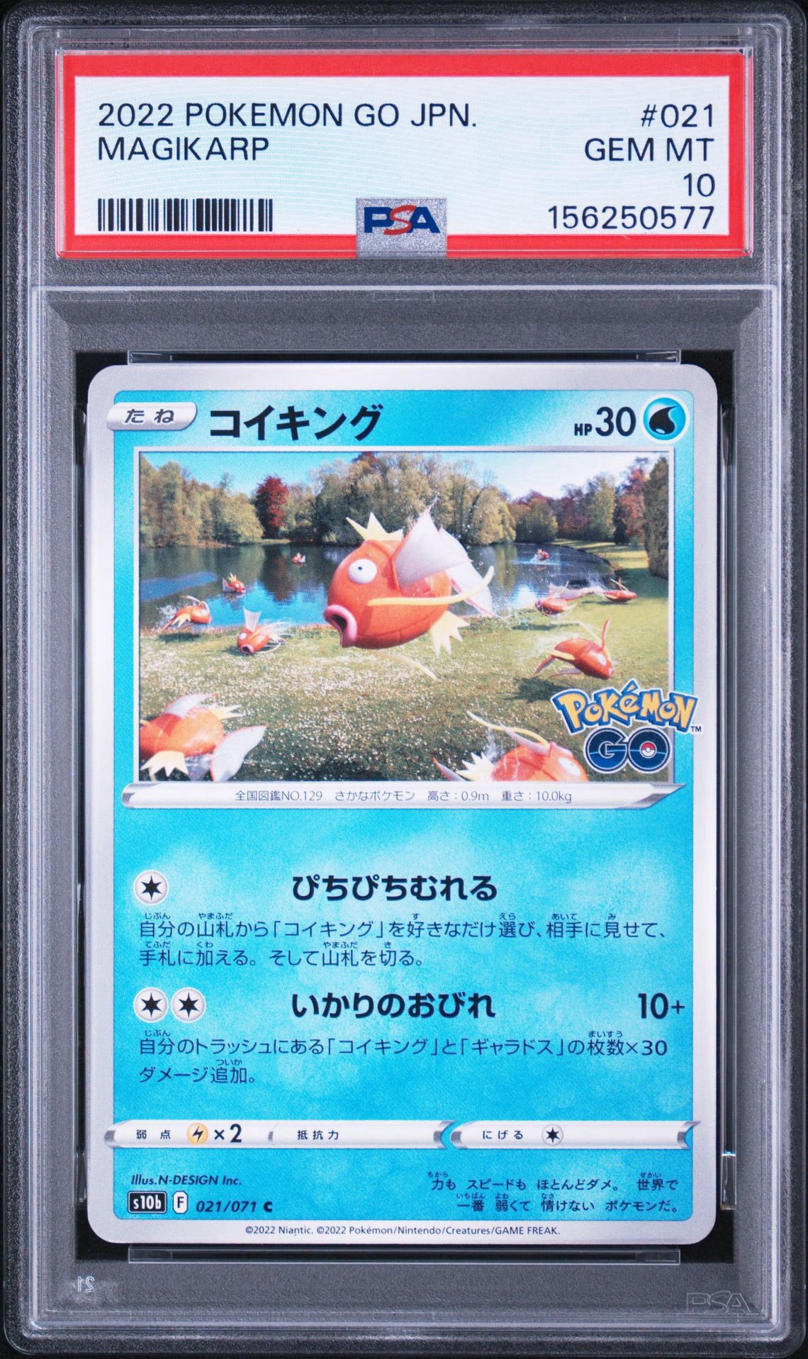 PSA10】コイキング C S10b Pokémon GO 021/071 コイキング C[s10b 021