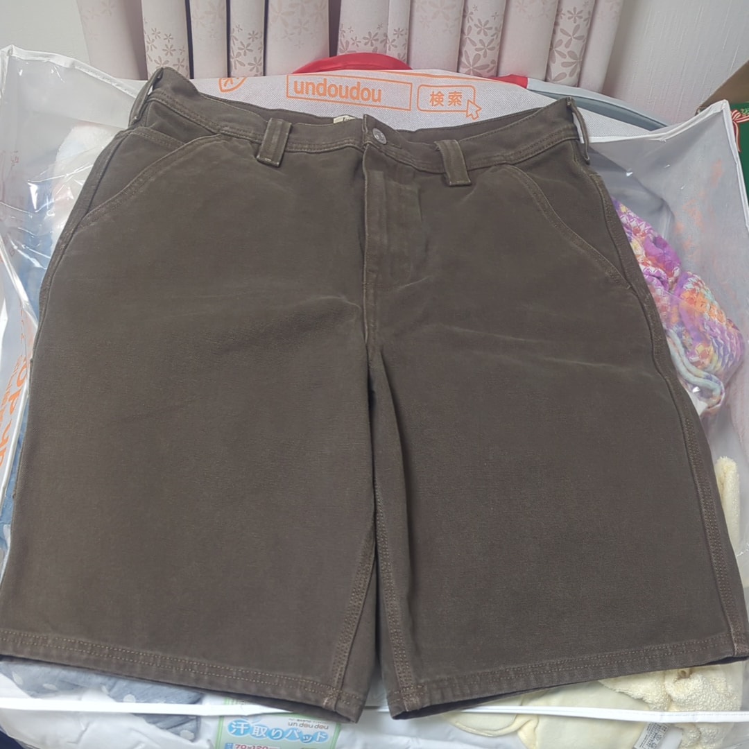 Stussy Work Short Washed Canvas "Brown"
