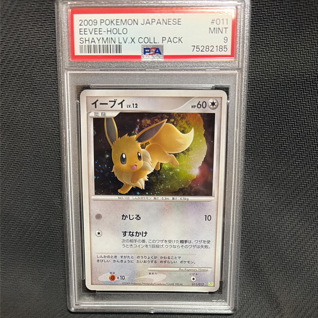 ルカリオVSTAR HR: 争奪戦プロモ[S-P 305](プロモーションカード「S-P