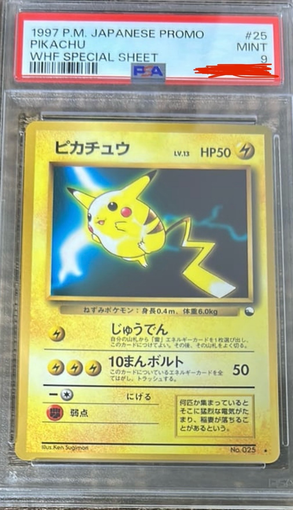 PSA8以下】ピカチュウ ☆ ワールドホビーフェア: 旧裏[PMCG-P No.025