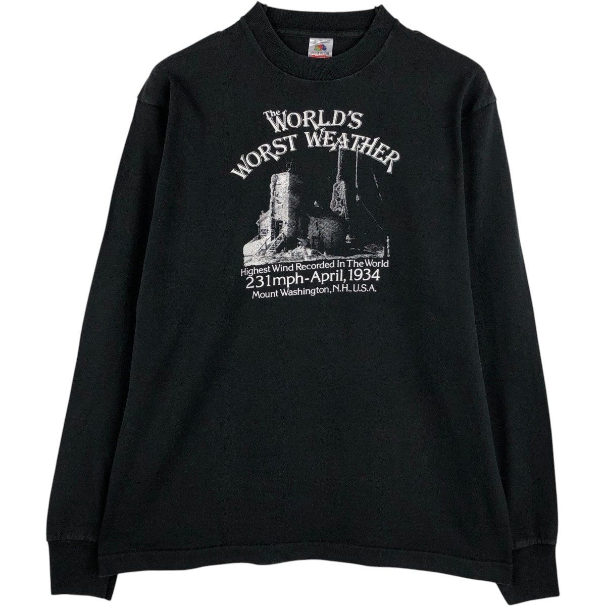 古着 90年代 フルーツオブザルーム FRUIT OF THE LOOM ロングTシャツ ロンT USA製 メンズL相当 ヴィンテージ/eaa678643