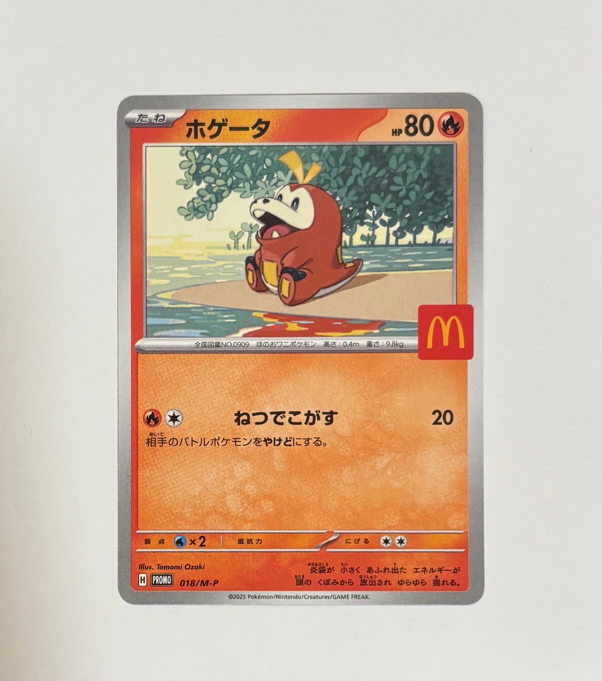 PSA10】ホゲータ P [M-P 018](プロモカードパック「マクドナルド