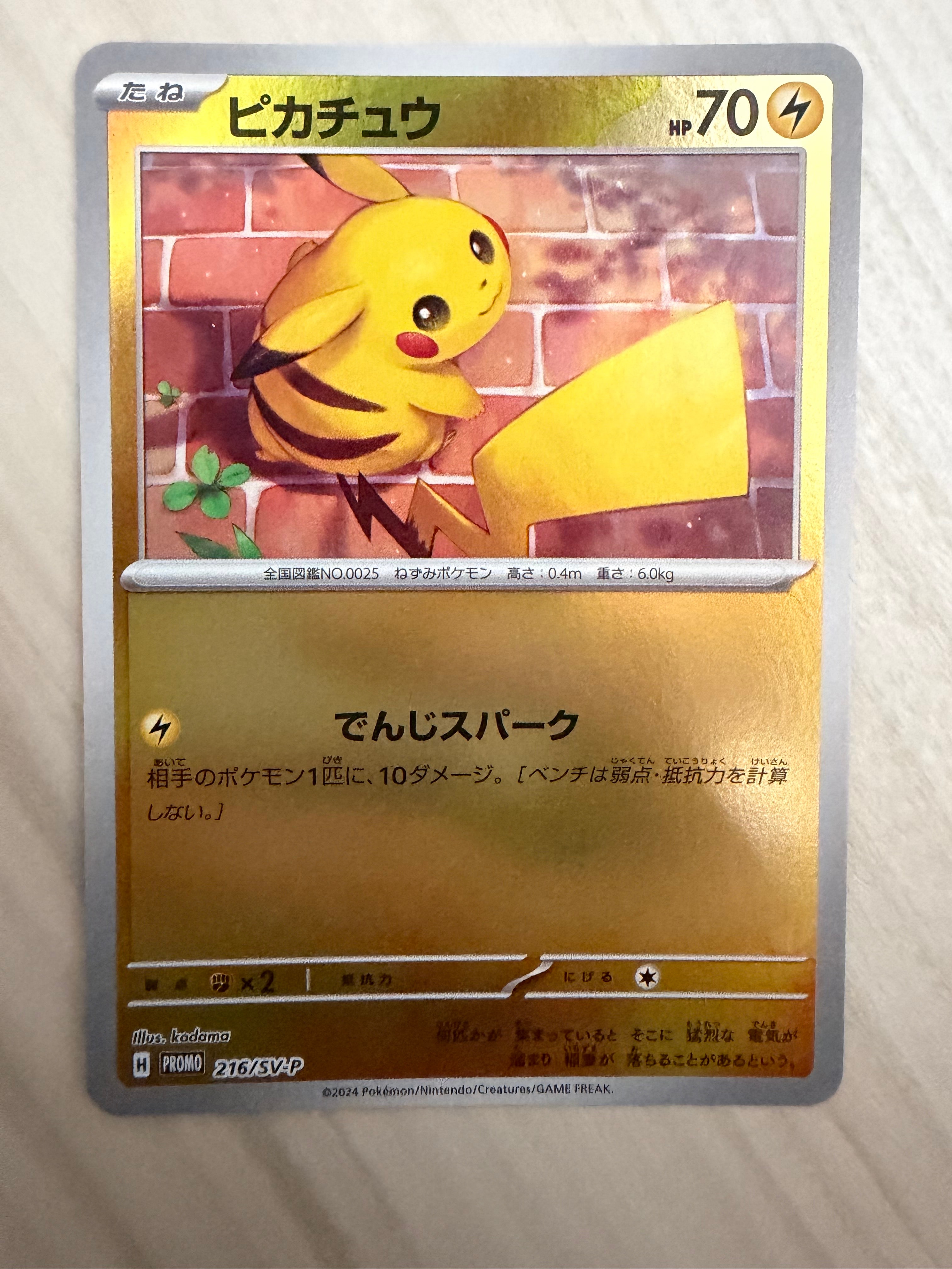 PSA10】ピカチュウ P [SV-P 216](プロモカードパック「ポケカの夏が
