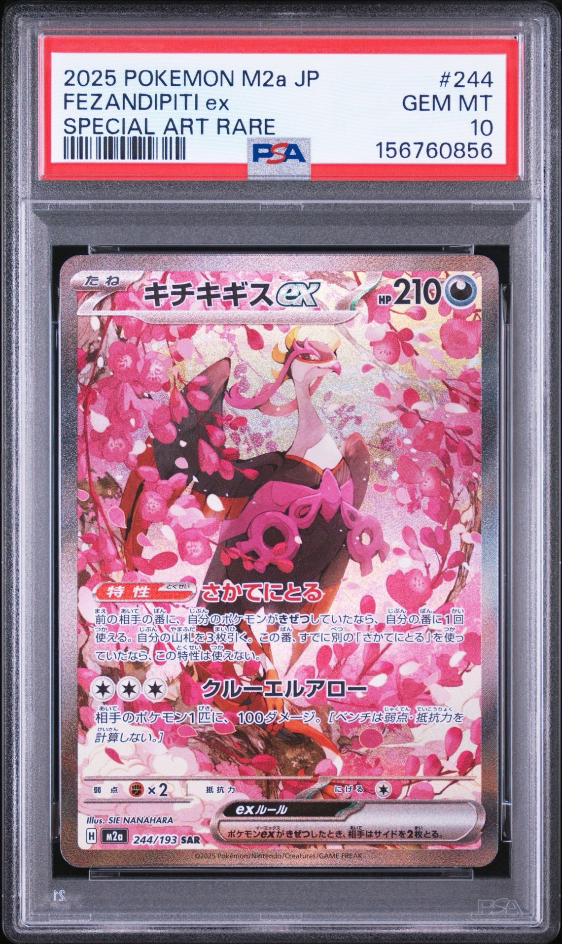 PSA10】キチキギスex SAR [M2a 244/193](ハイクラスパック「MEGA