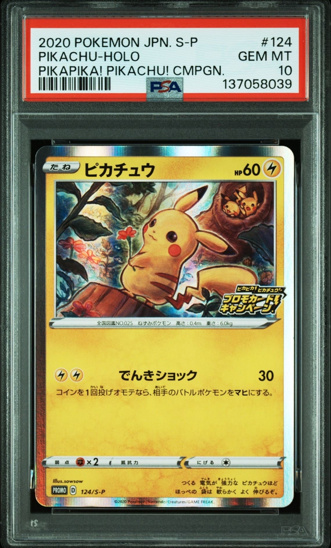 ピカチュウ: プロモ P [S-P 124](ピカピカ!ピカチュウ!プロモカードキャンペーン)