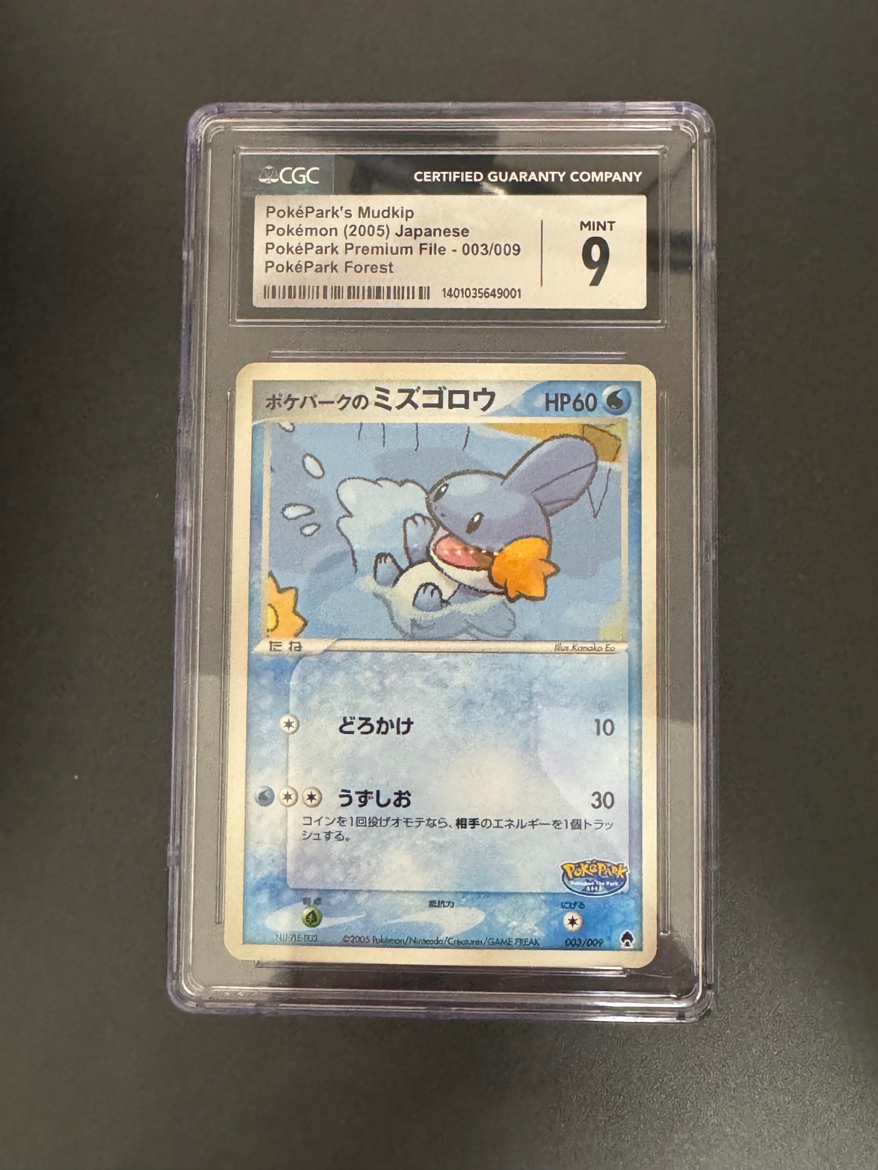 ポケパークのミズゴロウ [PCG 003/009](ポケパークプレミアムファイル