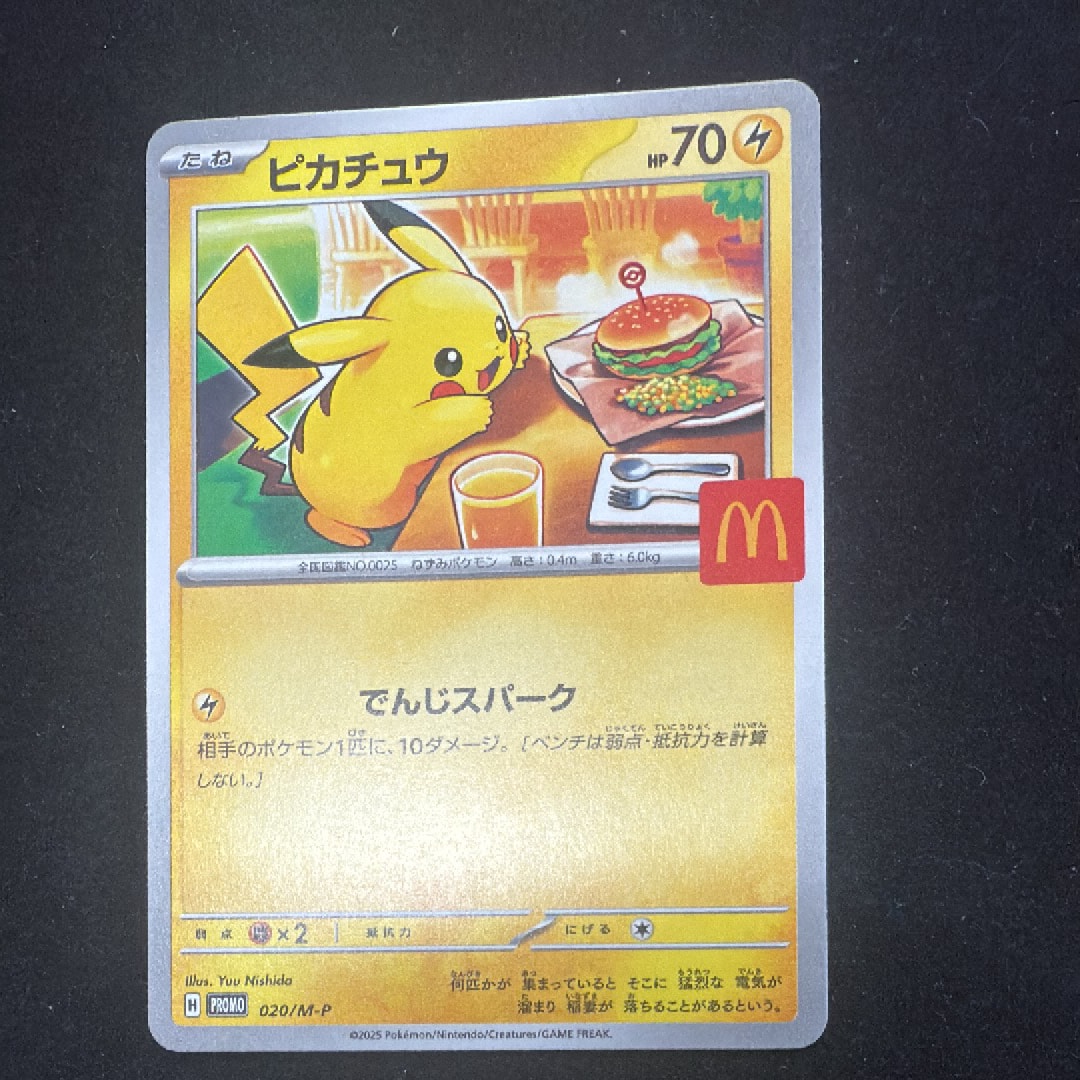 PSA10】トウホクのピカチュウ: プロモ[SM-P 088](プロモーションカード