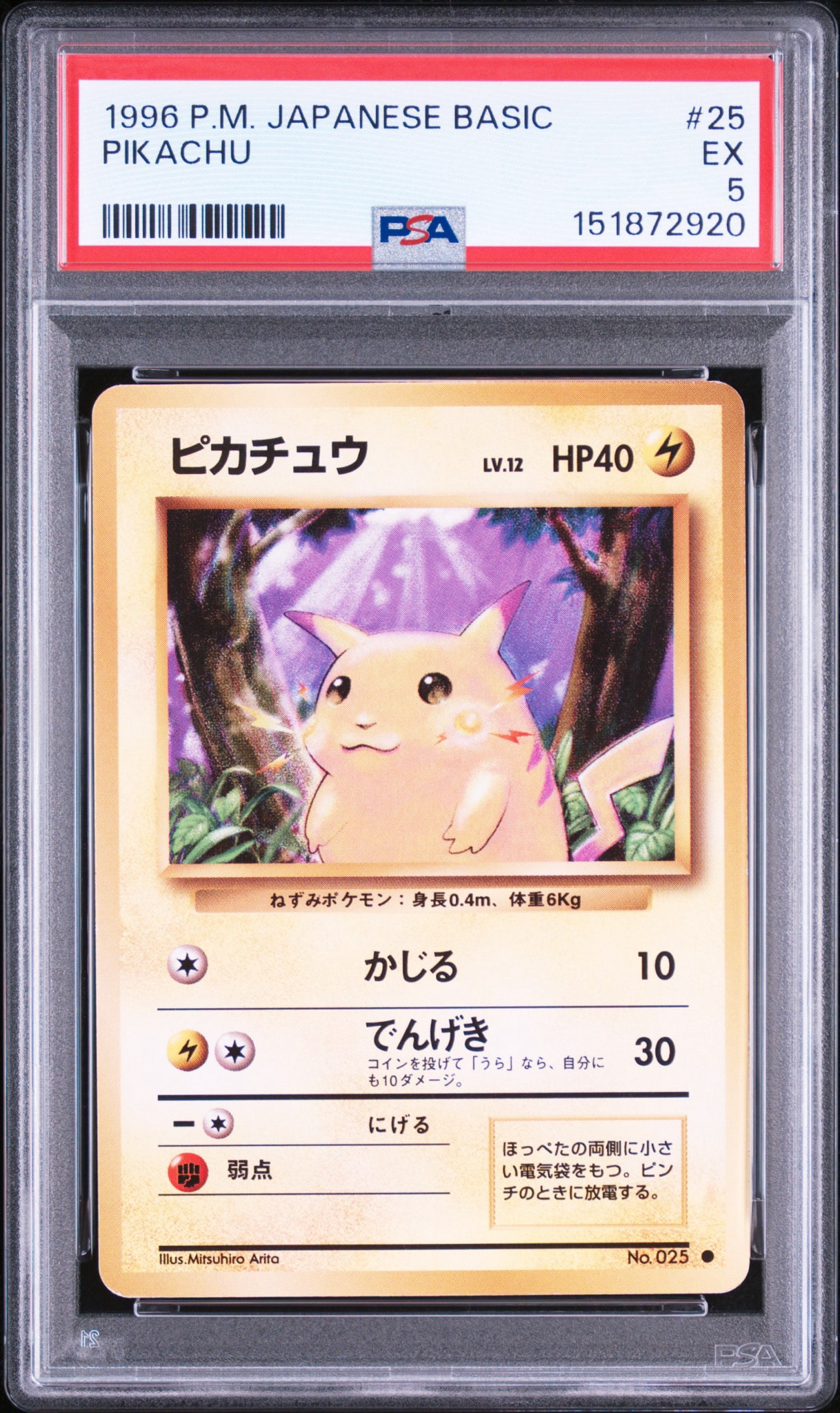 ピカチュウ ○ : 旧裏 [PMCG1-2](拡張パック「ポケットモンスター