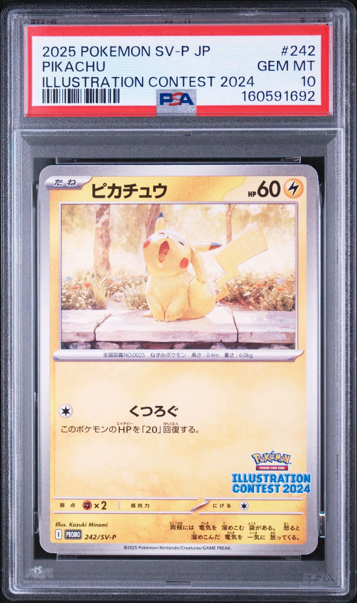 ピカチュウ [SV-P 242](プロモカードパック「イラストレーション