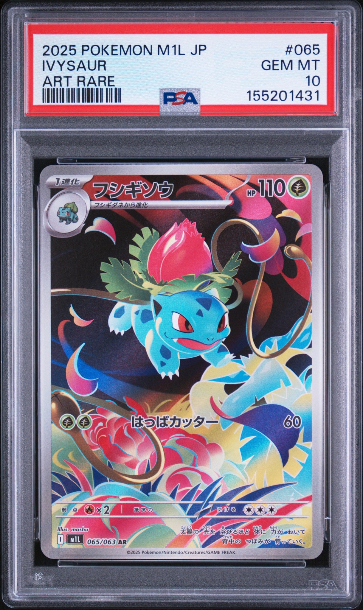PSA 10 フシギダネ　AR フシギソウ　AR フシギソウ AR [M1L 065/063](拡張パック「メガブレイブ」)通販・買取