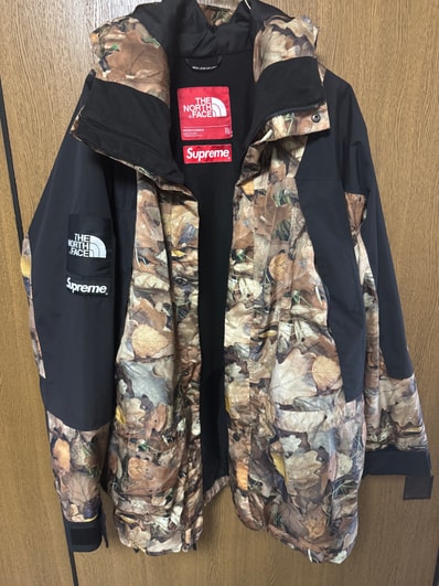 Supreme x The North Face Leaves Mountain Light Jacket "Leaves"