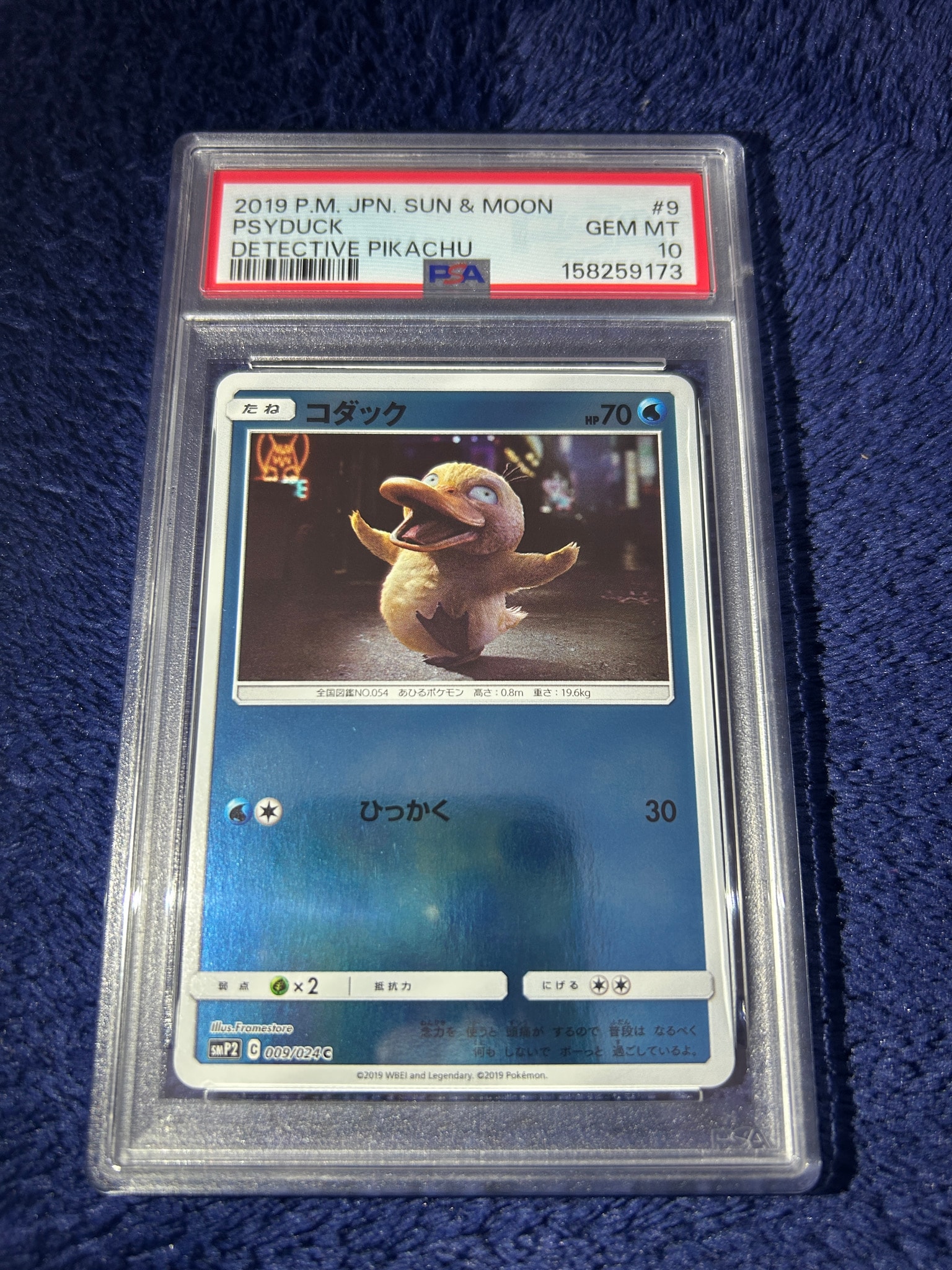 PSA10】コダック C 010/024 名探偵ピカチュウ Psyduck 010/024 Smp2 PSA10】コダック C 010/024 名探偵ピカチュウ Psyduck 010/024 Smp2