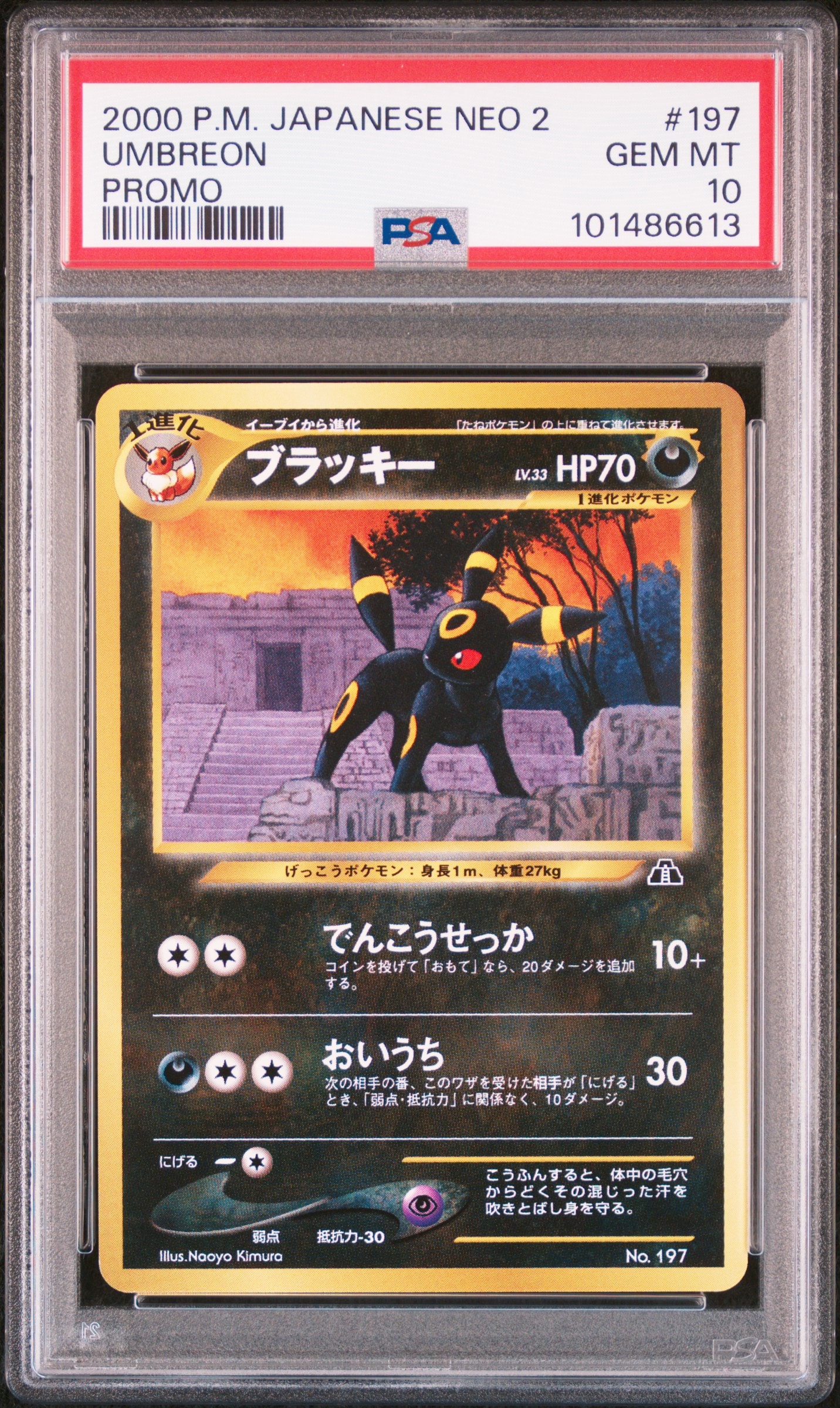 ブラッキープレミアムファイル2: 旧裏[neoP2 No.197](プレミアムファイル2)