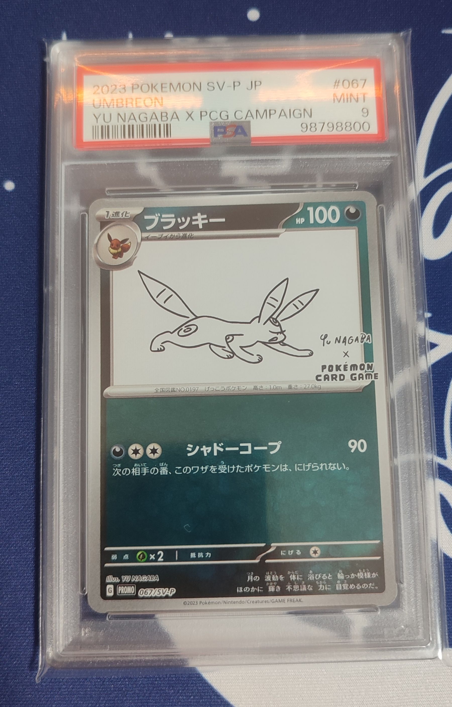 ブラッキー: プロモ (ナガバブラッキー) [SV-P 067](「YU NAGABA×ポケモンカードゲーム」プロモーションカード「SV-P」)