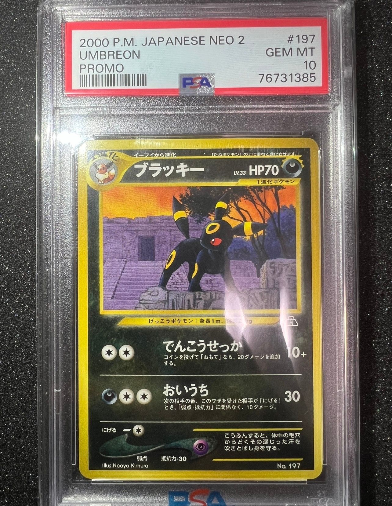 ブラッキープレミアムファイル2: 旧裏[neoP2 No.197](プレミアムファイル2)