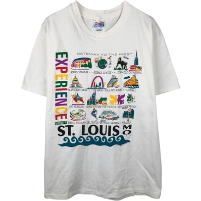 古着 90年代 ヘインズ Hanes スーベニアTシャツ メンズL相当 ヴィンテージ/eaa648456