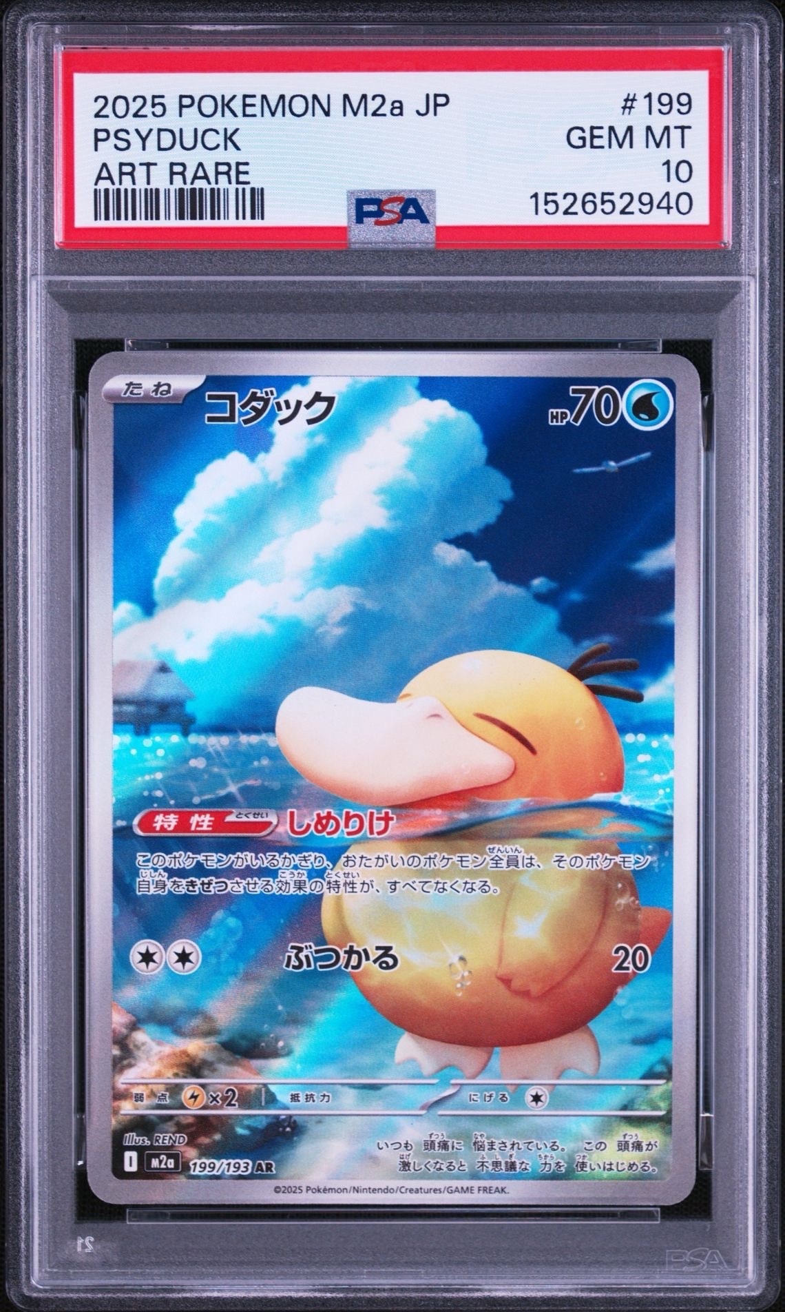 コダック AR [M2a 199/193](ハイクラスパック「MEGAドリームex」)