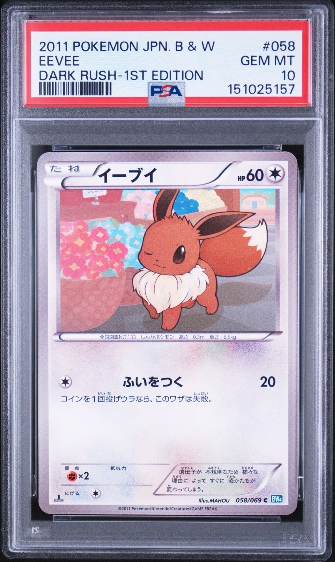 イーブイ C :1ED [BW4 058/069](拡張パック「ダークラッシュ」)通販