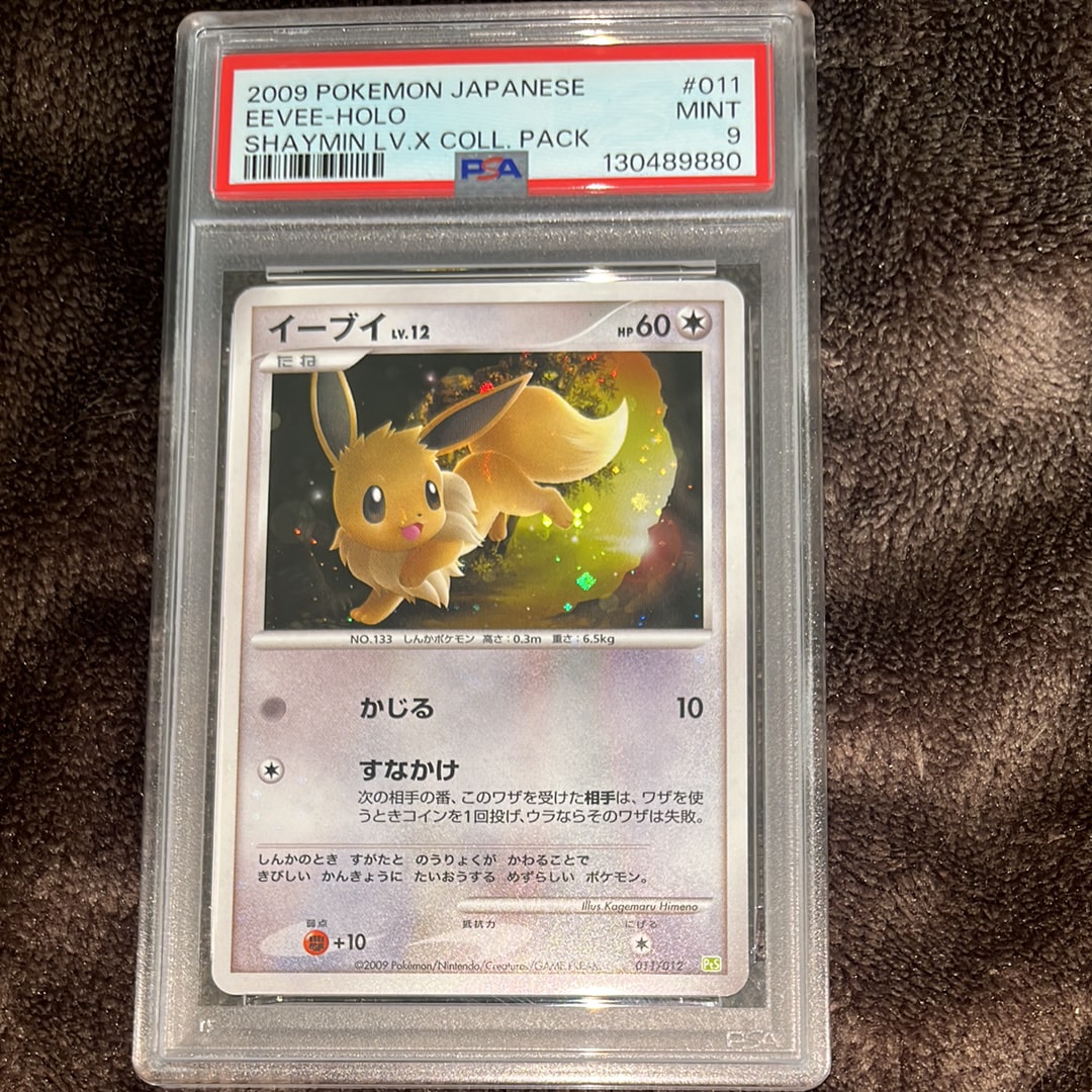 イーブイ [PtS 011/012](コレクションパック「シェイミLV.X」)