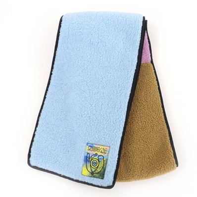 極美品 ロエベ マフラー アイロエベ マルチカラー レディース