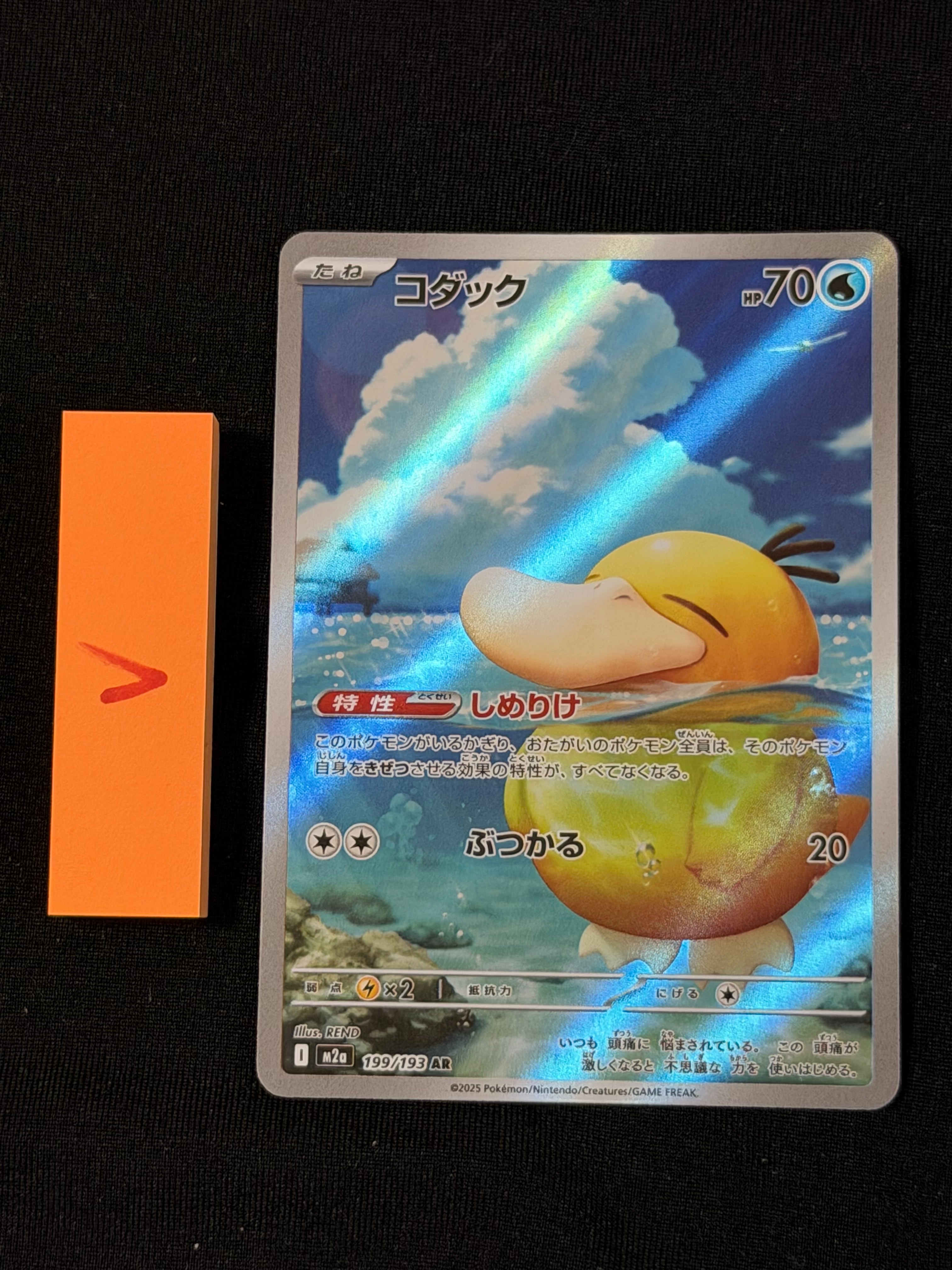 コダック AR [M2a 199/193](ハイクラスパック「MEGAドリームex」)