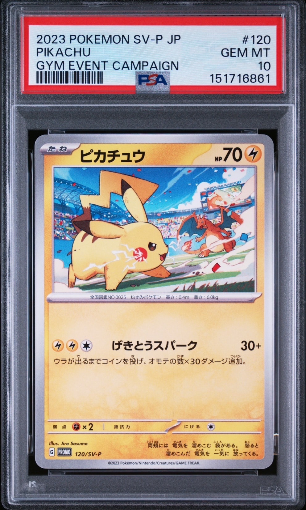 ピカチュウ: プロモ [SV-P 120](プロモーションカード「SV-P」)の新品