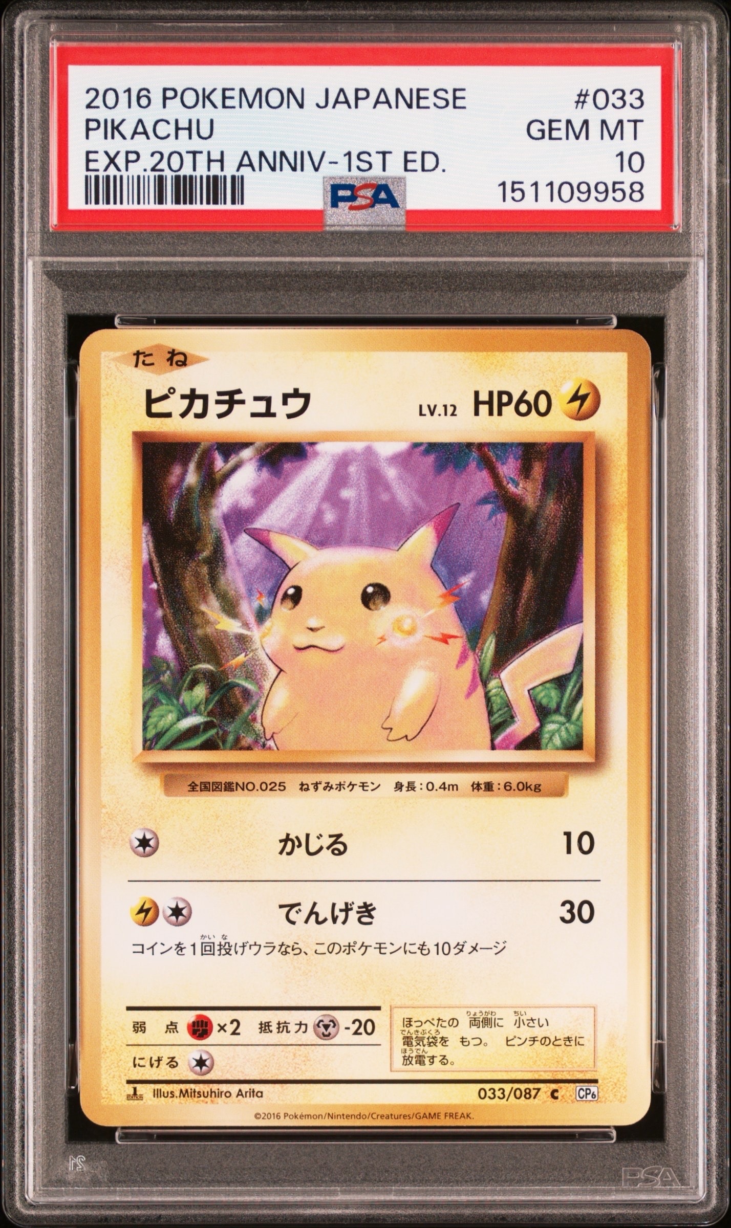 【PSA10】ピカチュウ C :1ED [CP6 033/087] PSA10】ピカチュウ C :1ED [CP6 033/087](コンセプトパック