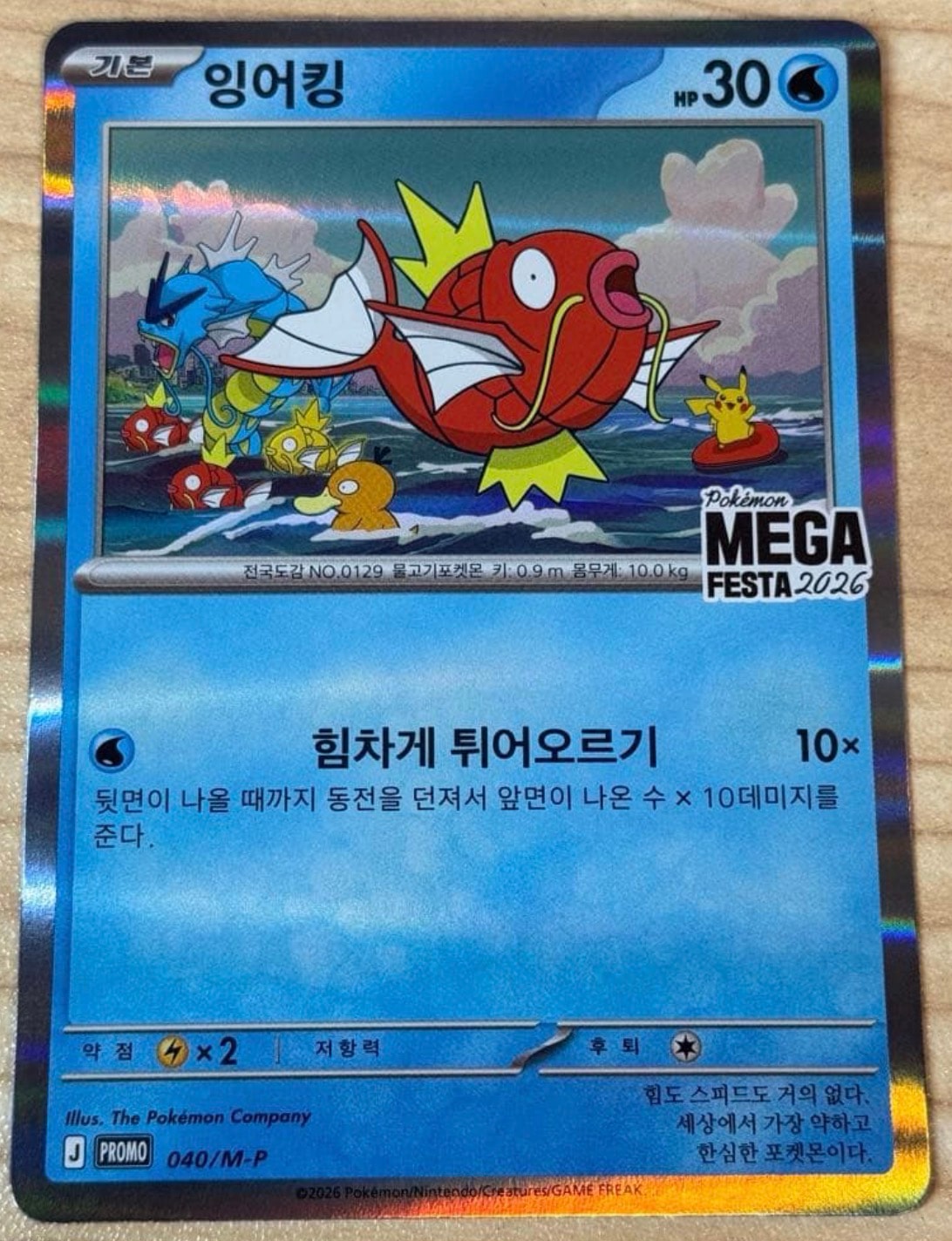 コイキング プロモ [040/M-P]【韓国語版】(プロモーションカード「ポケモン メガフェスタ2026 プロモカードパック」)