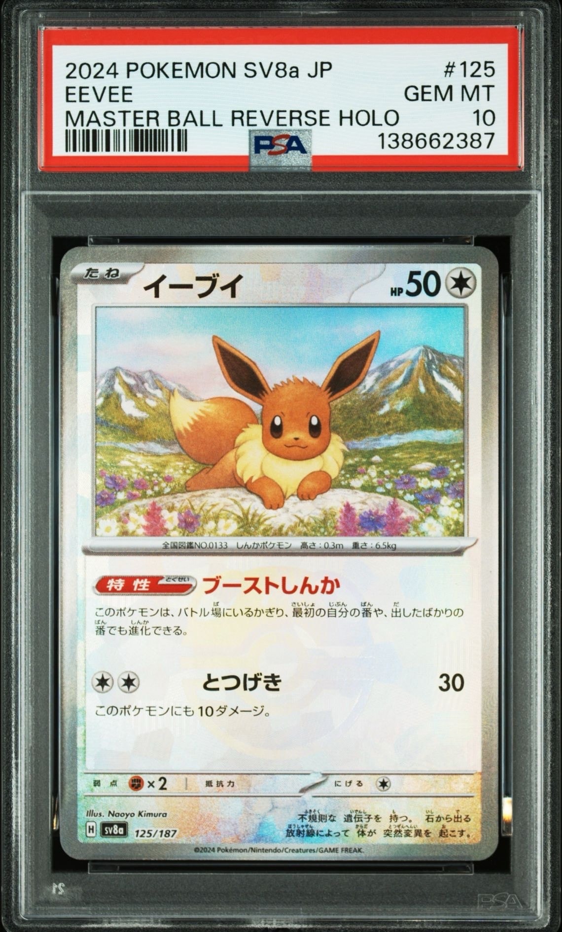 イーブイ :マスターボールミラー [SV8a 125/187](ハイクラスパック