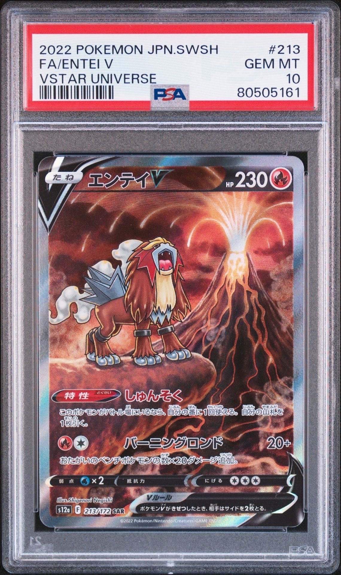 PSA10】エンテイV SAR[s12a 213/172](ハイクラスパック「VSTAR