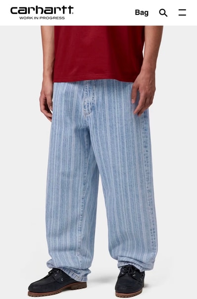 carhartt Rylan Pant