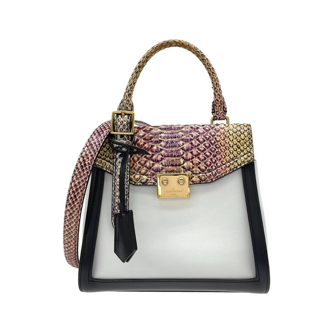 ルイヴィトン エキゾチックレザー LVアーク N97351 バッグ