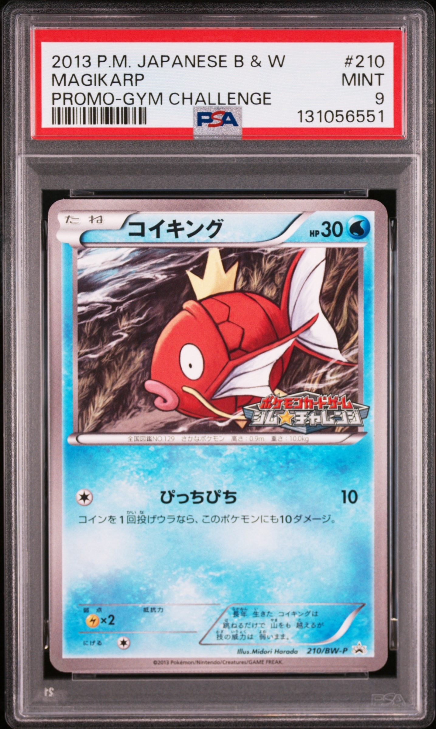 PSA10】コイキング P [BW-P 210/BW-P](プロモーションカードパック