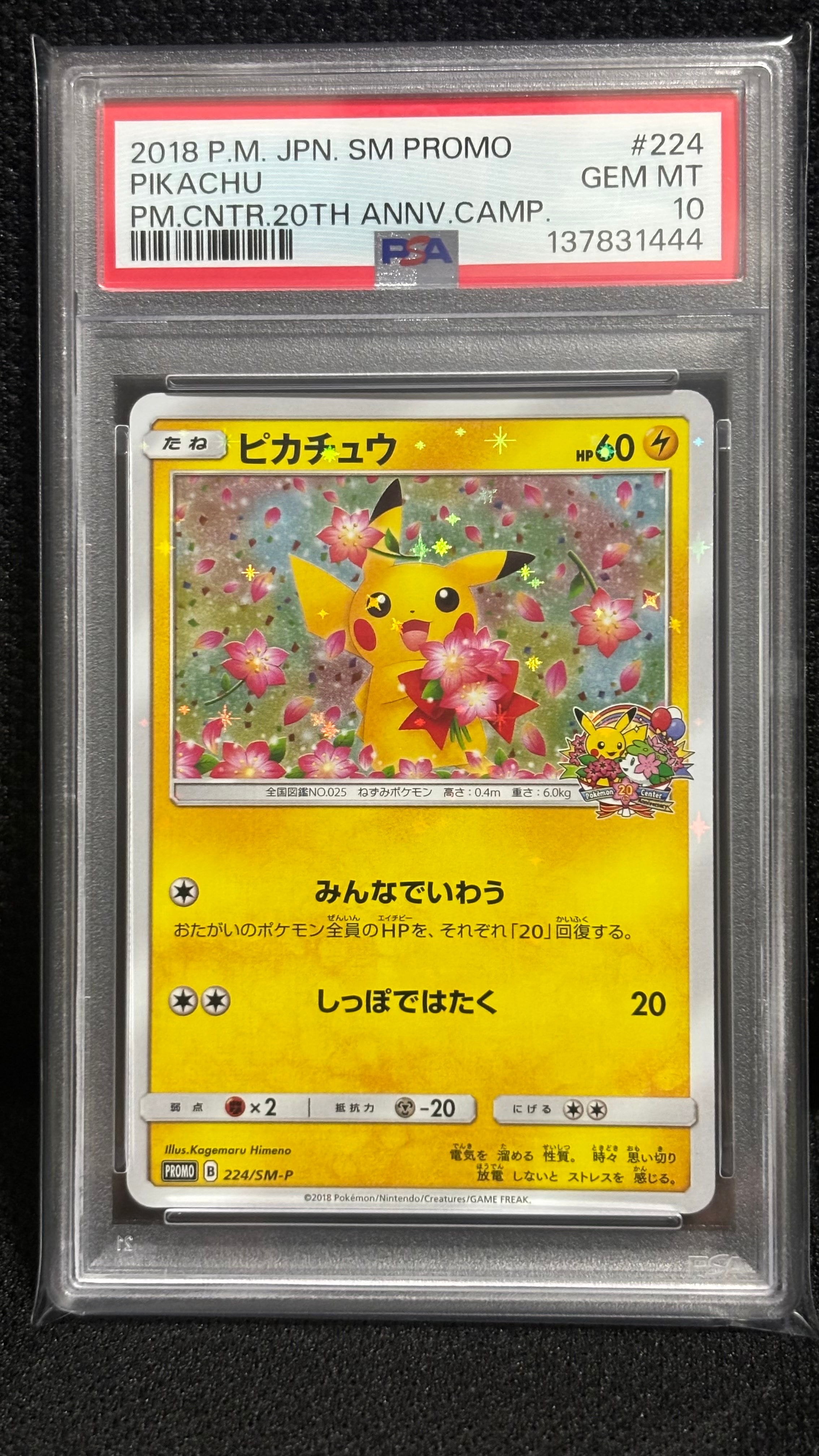 ピカチュウ: プロモ[SM-P 224](プロモーションカード「SM-P」)の新品