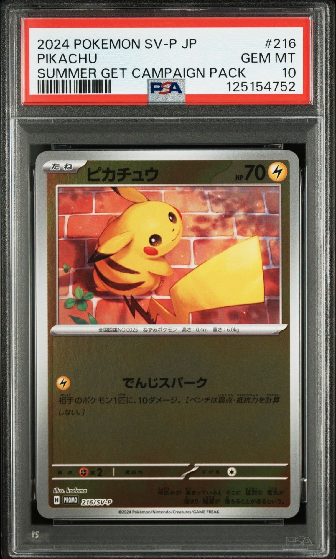 ピカチュウ P [SV-P 216](プロモカードパック「ポケカの夏がキタ!プロモカードGetキャンペーン!」)