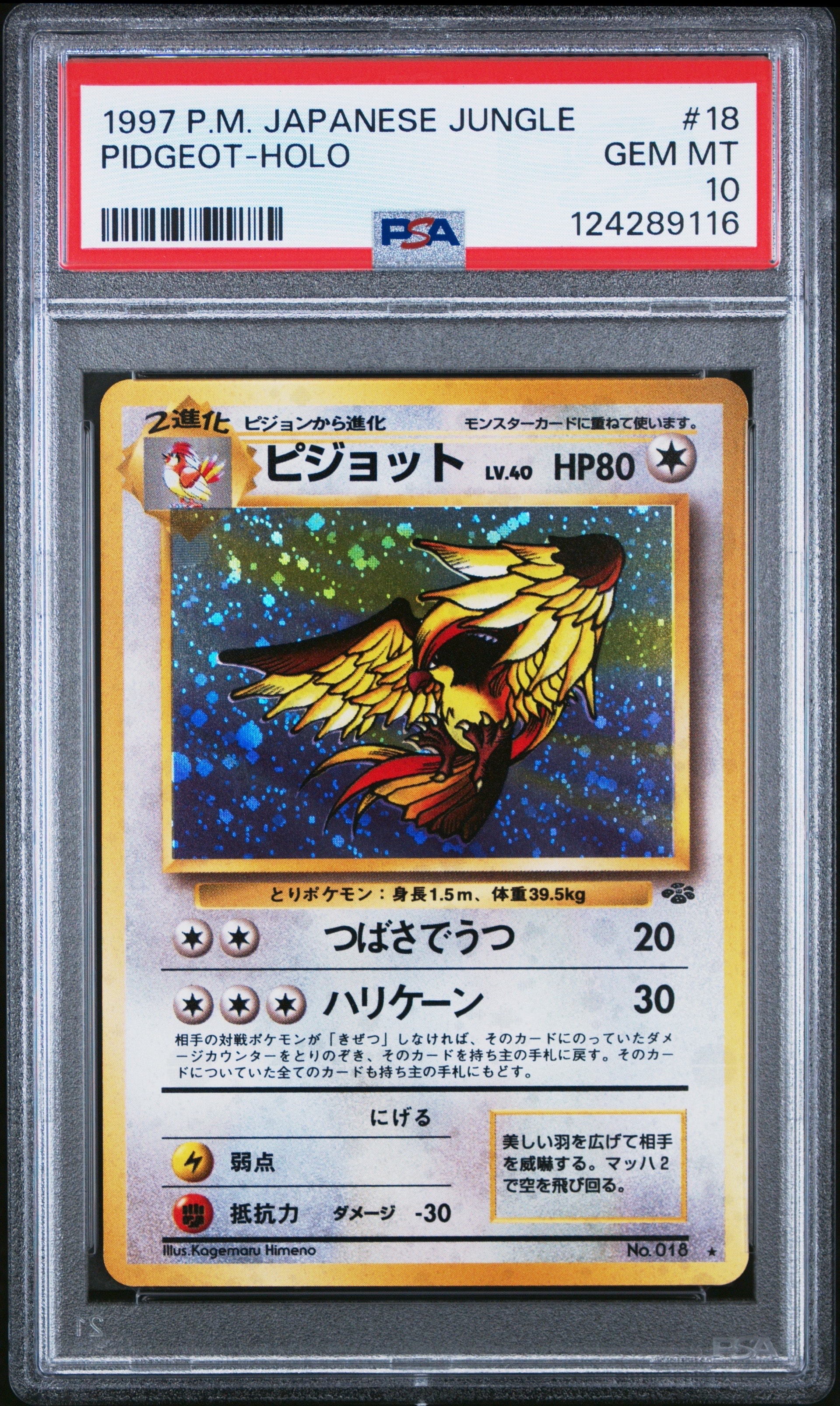 ピジョット R: 旧裏 [PMCG2 No.018](拡張パック「ポケモンジャングル」)