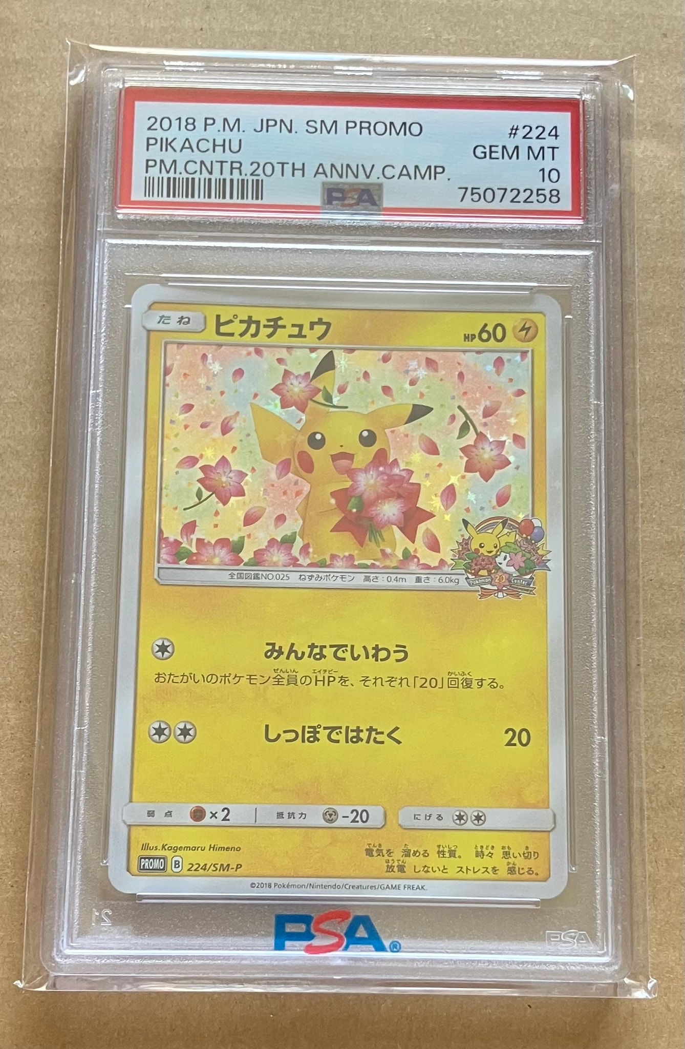 ピカチュウ: プロモ[SM-P 224](プロモーションカード「SM-P」)通販